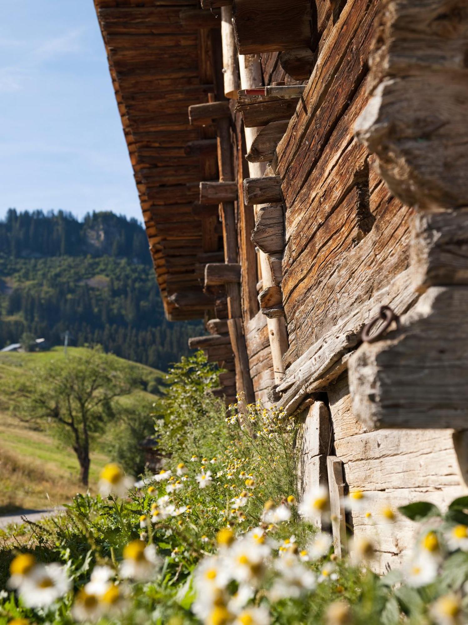 Mgm Hotels & Residences - Residence Le Roc Des Tours เลอกรองด์บอร์นอง ภายนอก รูปภาพ